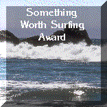 Something Worth Surfing Award