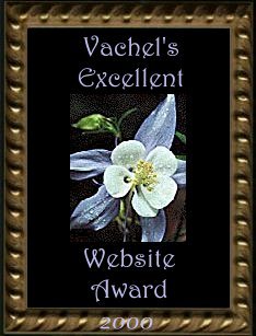 Vachel's Excellent Website Award